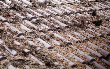 Panborough roof cleaning companies