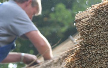 professional Panborough thatchers